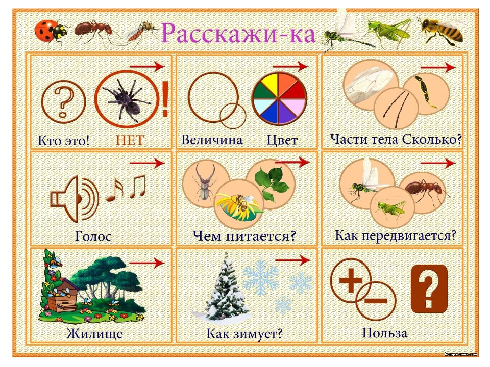 Презентация для выступления на семинаре "Технология развития речи дошкольников"