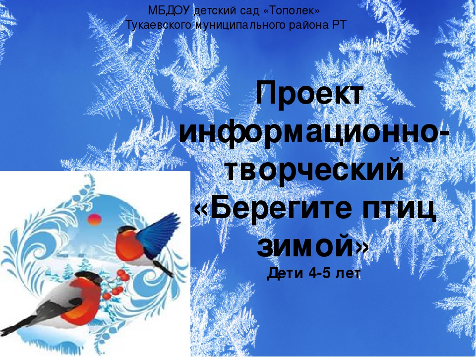 Презентация проекта "Зимующие птицы"