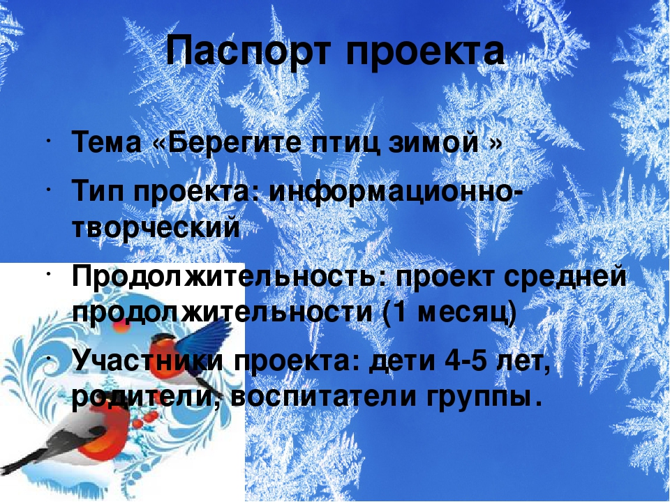 Презентация проекта "Зимующие птицы"