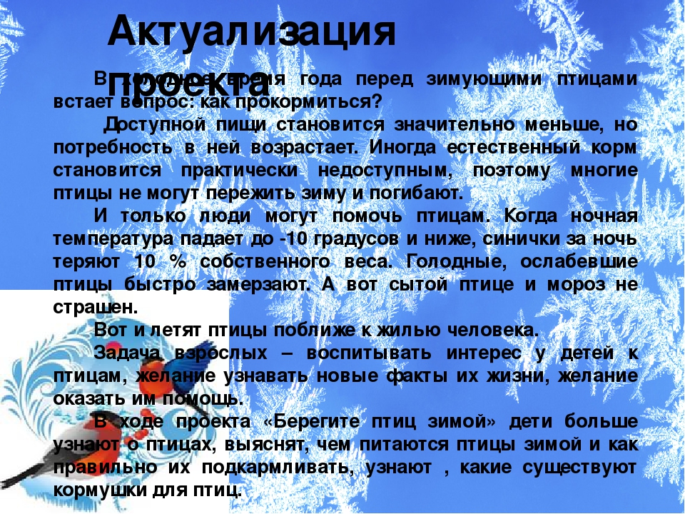 Презентация проекта "Зимующие птицы"