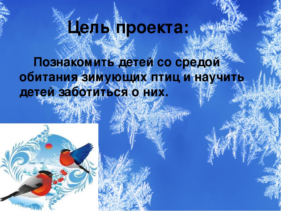 Презентация проекта "Зимующие птицы"
