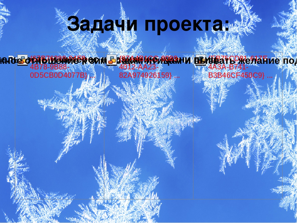 Презентация проекта "Зимующие птицы"
