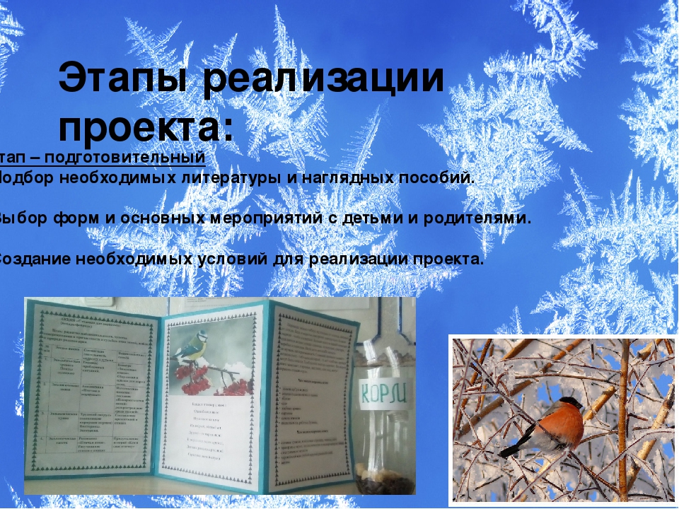 Презентация проекта "Зимующие птицы"
