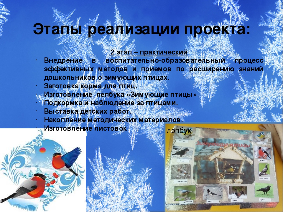 Презентация проекта "Зимующие птицы"