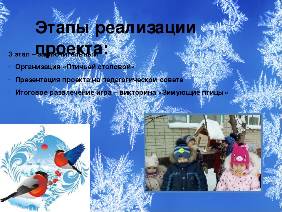 Презентация проекта "Зимующие птицы"