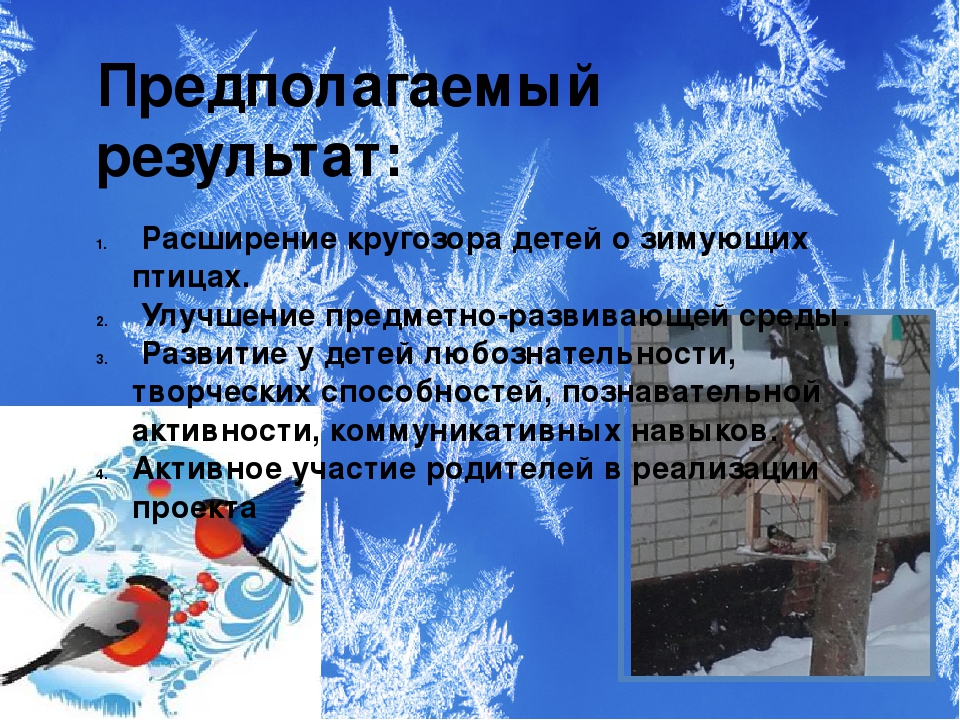 Презентация проекта "Зимующие птицы"