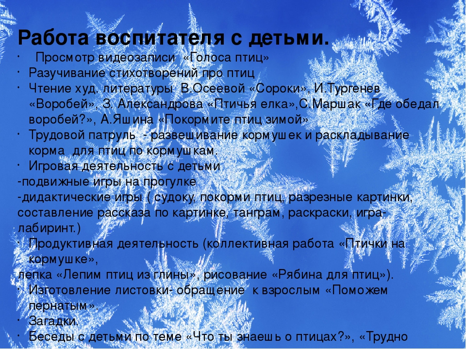 Презентация проекта "Зимующие птицы"