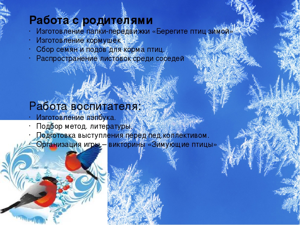 Презентация проекта "Зимующие птицы"