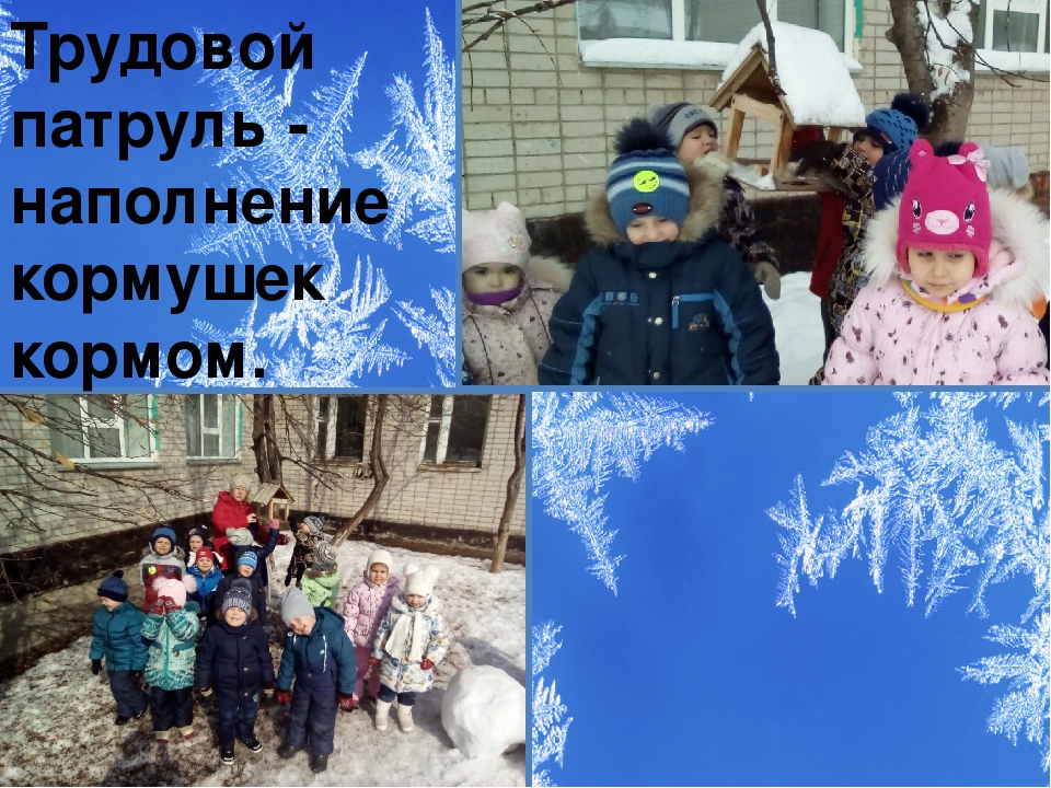 Презентация проекта "Зимующие птицы"