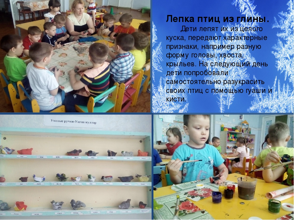 Презентация проекта "Зимующие птицы"