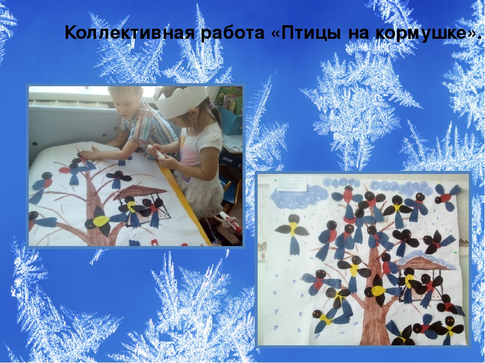 Презентация проекта "Зимующие птицы"