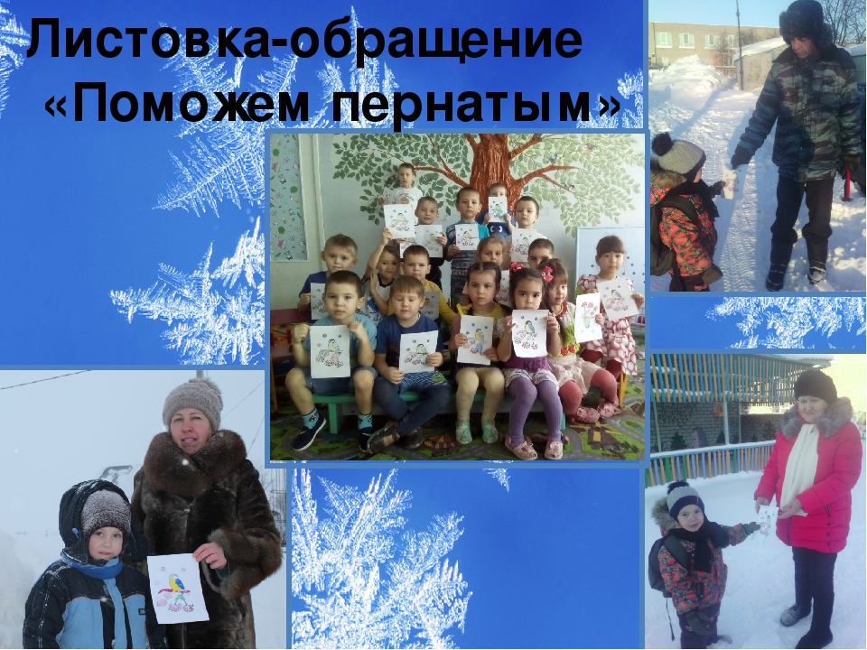 Презентация проекта "Зимующие птицы"