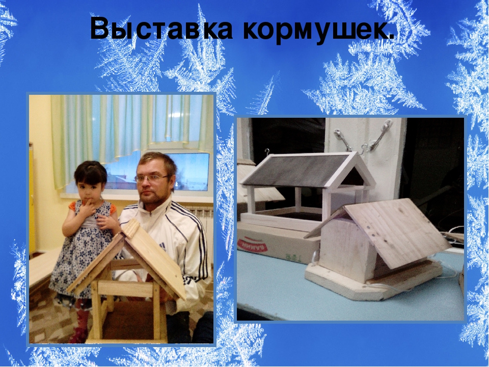 Презентация проекта "Зимующие птицы"