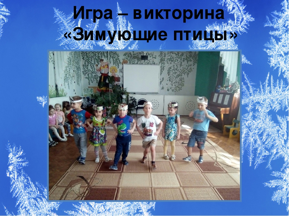 Презентация проекта "Зимующие птицы"
