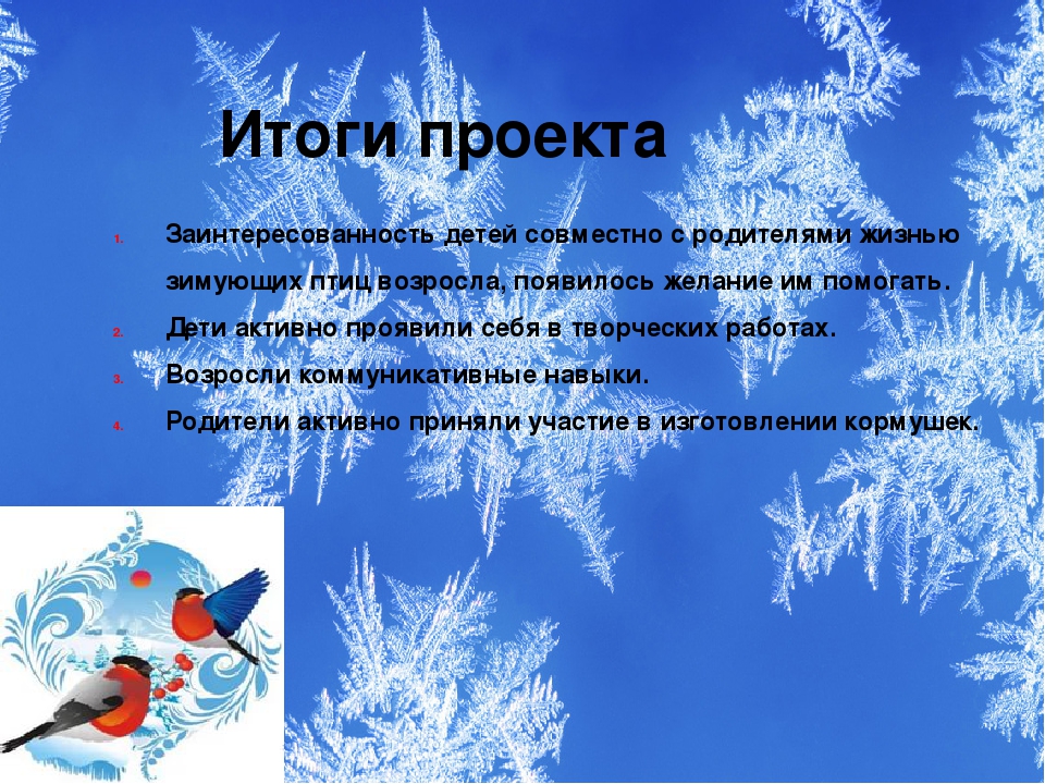 Презентация проекта "Зимующие птицы"