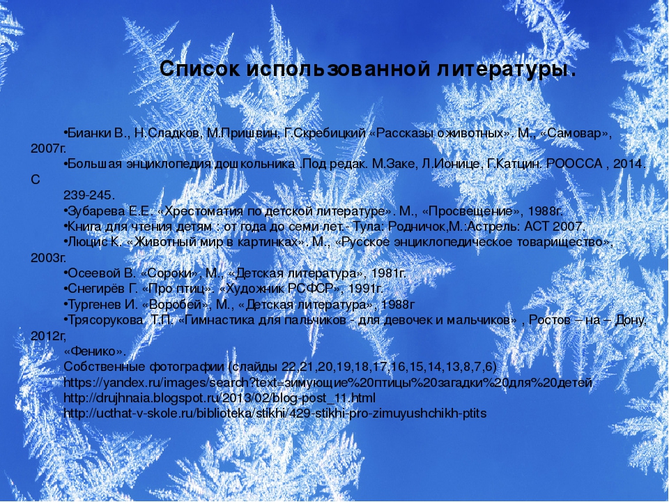 Презентация проекта "Зимующие птицы"