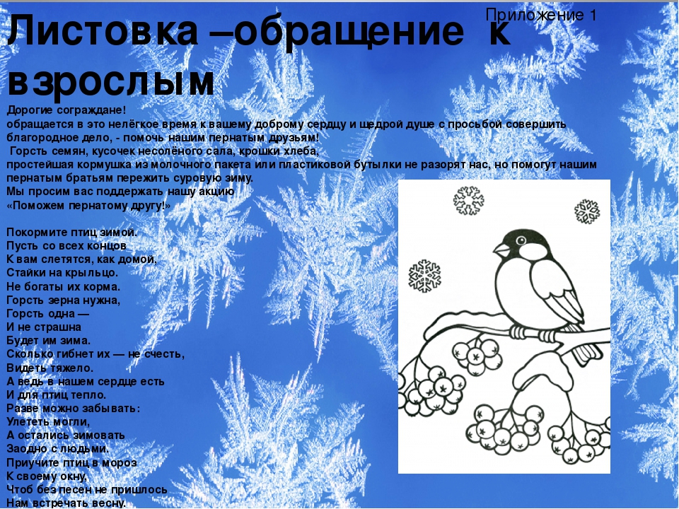 Презентация проекта "Зимующие птицы"