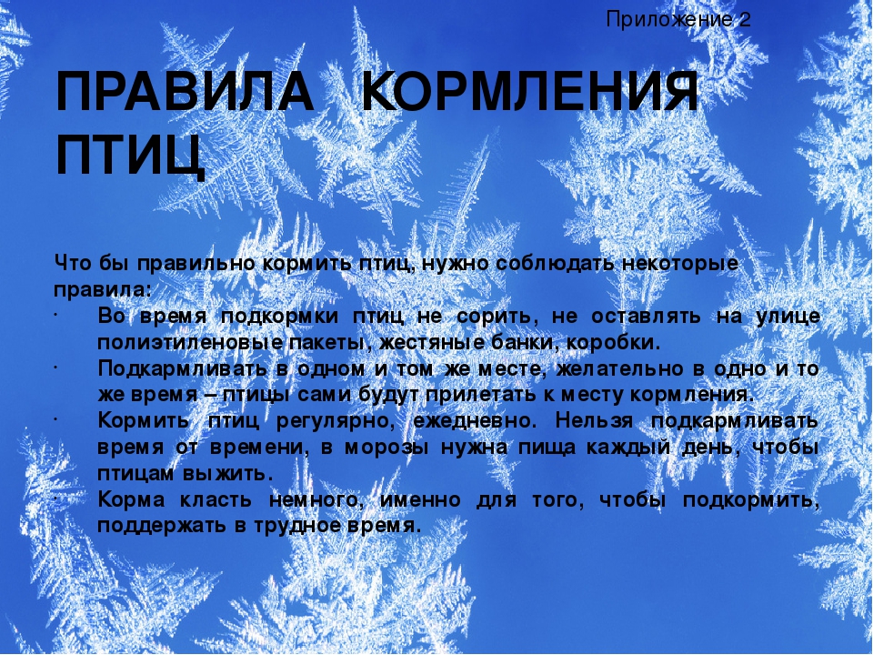 Презентация проекта "Зимующие птицы"