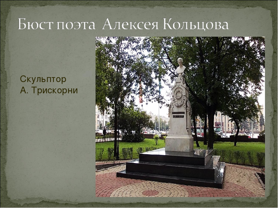 Презентация для детского сада на тему "Наш любимый Воронеж"
