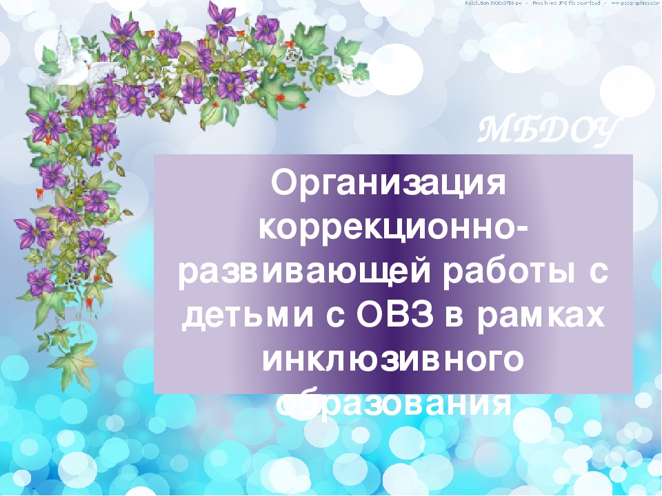 Презентация "Организация коррекционно-развивающей работы с детьми с ОВЗ в рамках инклюзивного образования"