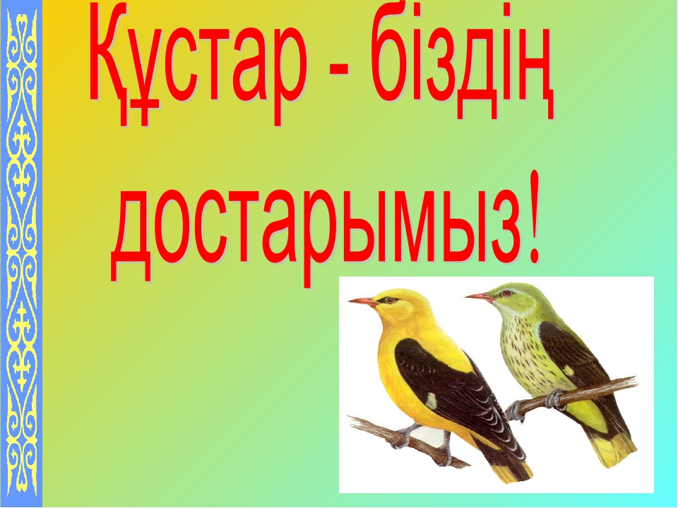 Презентация на тему "Құстар-біздің достарымыз" для дошкольников