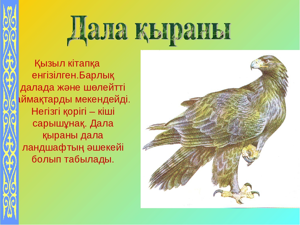 Презентация на тему "Құстар-біздің достарымыз" для дошкольников