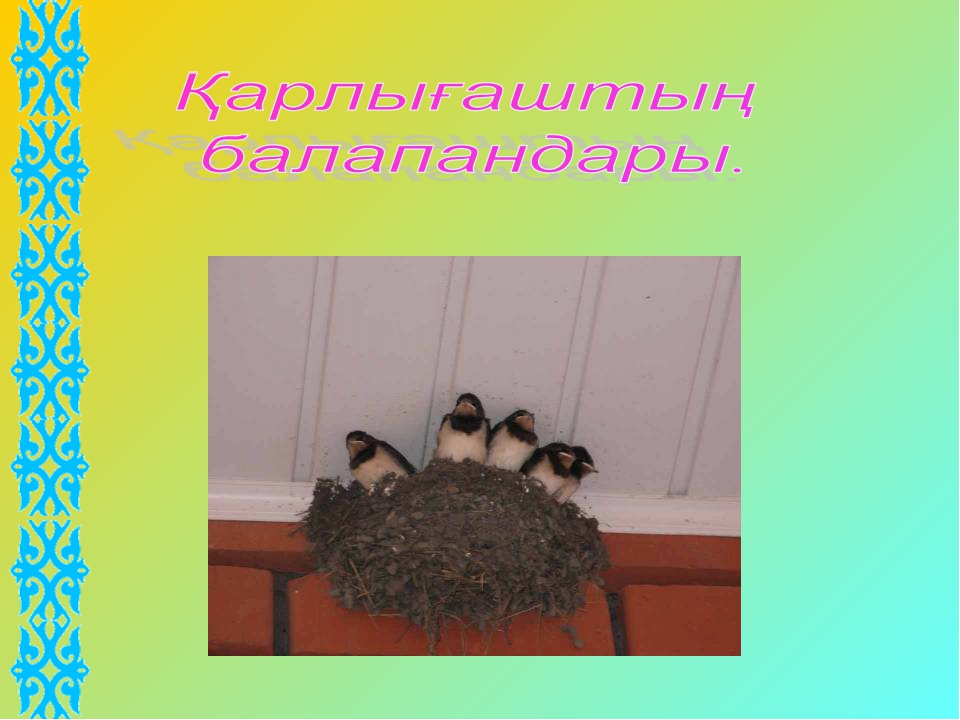 Презентация на тему "Құстар-біздің достарымыз" для дошкольников