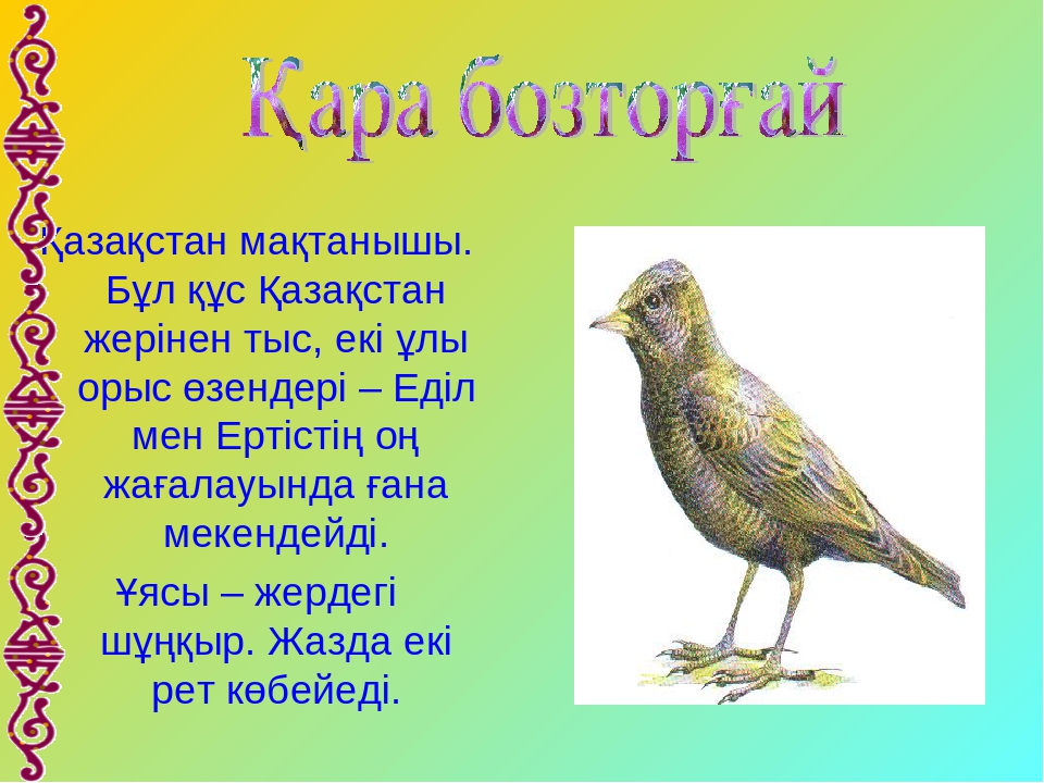 Презентация на тему "Құстар-біздің достарымыз" для дошкольников