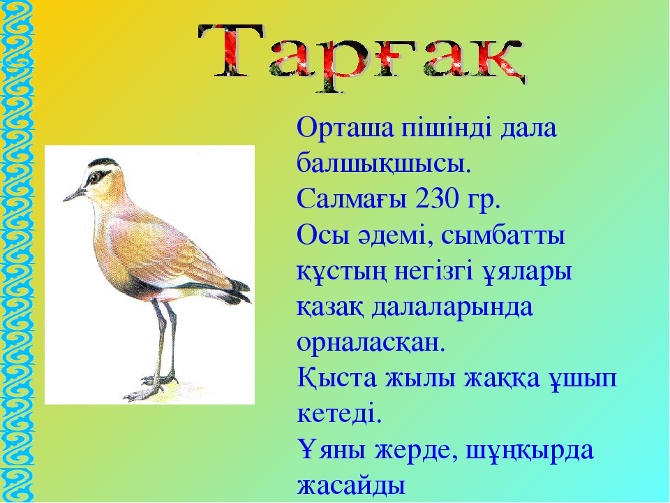 Презентация на тему "Құстар-біздің достарымыз" для дошкольников