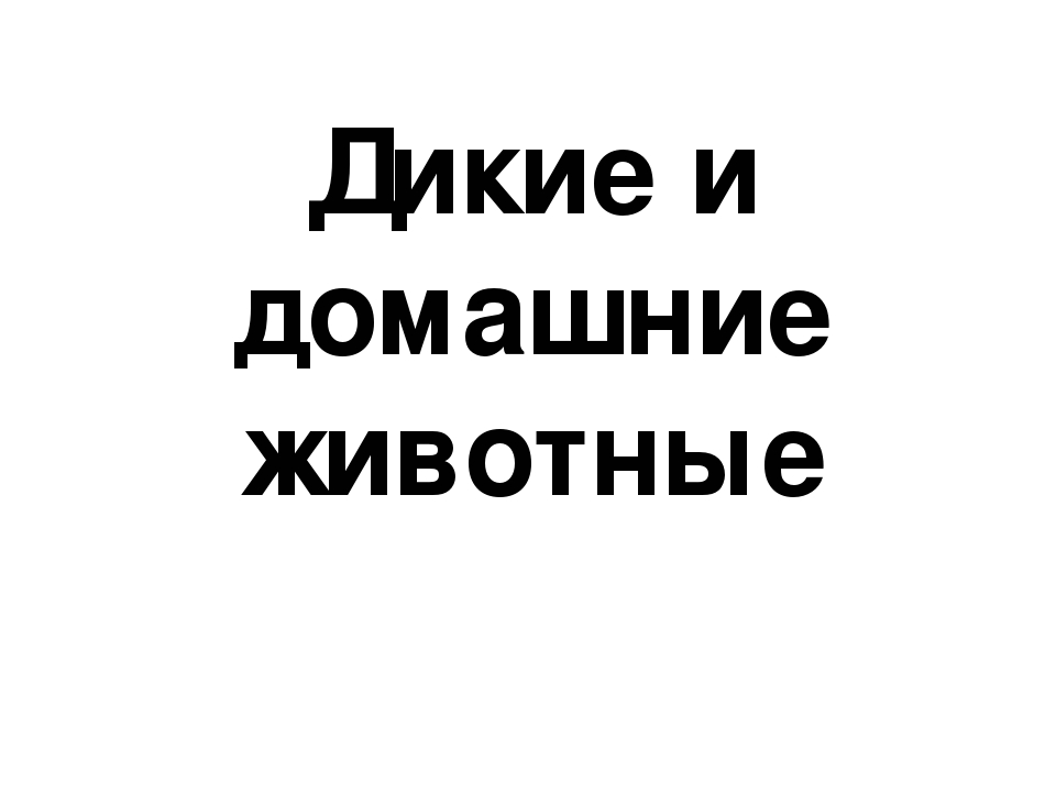 Презентация Итогового Занятия В средней группе "Цветик Семицветик"