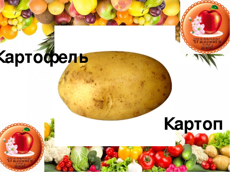 Презентация на тему "Жемістер мен көкөністер" для дошкольников