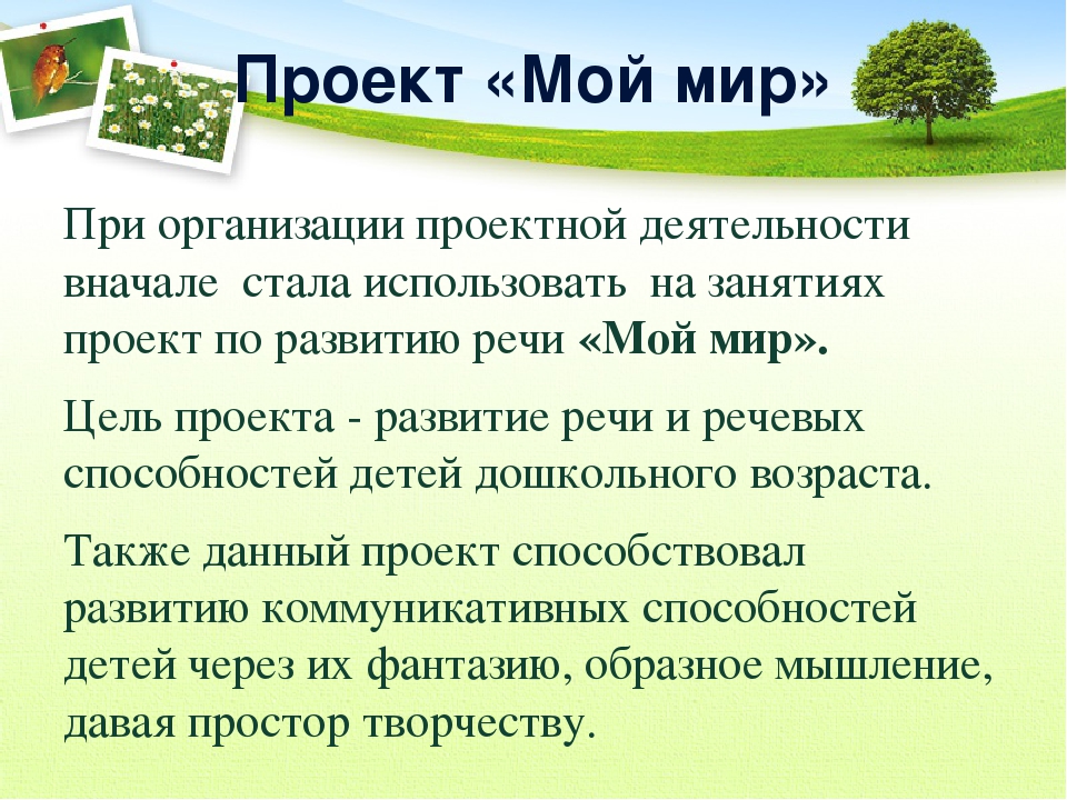 Презентация проектов по развитию речи.