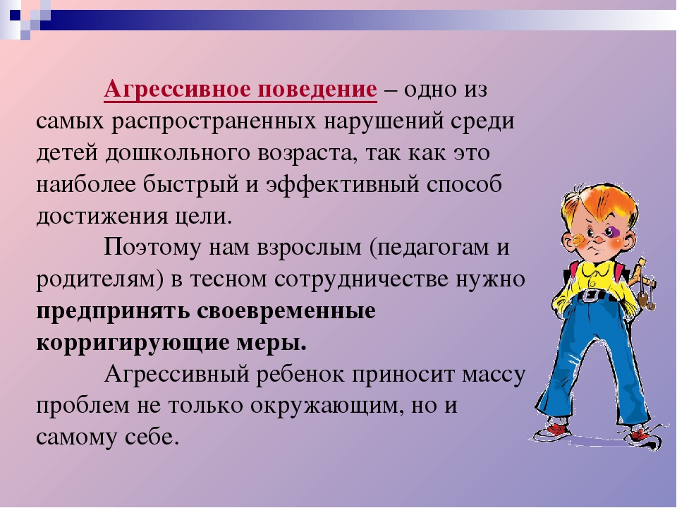 Презентация "Профилактика детской агрессивности у детей дошкольного возраста"