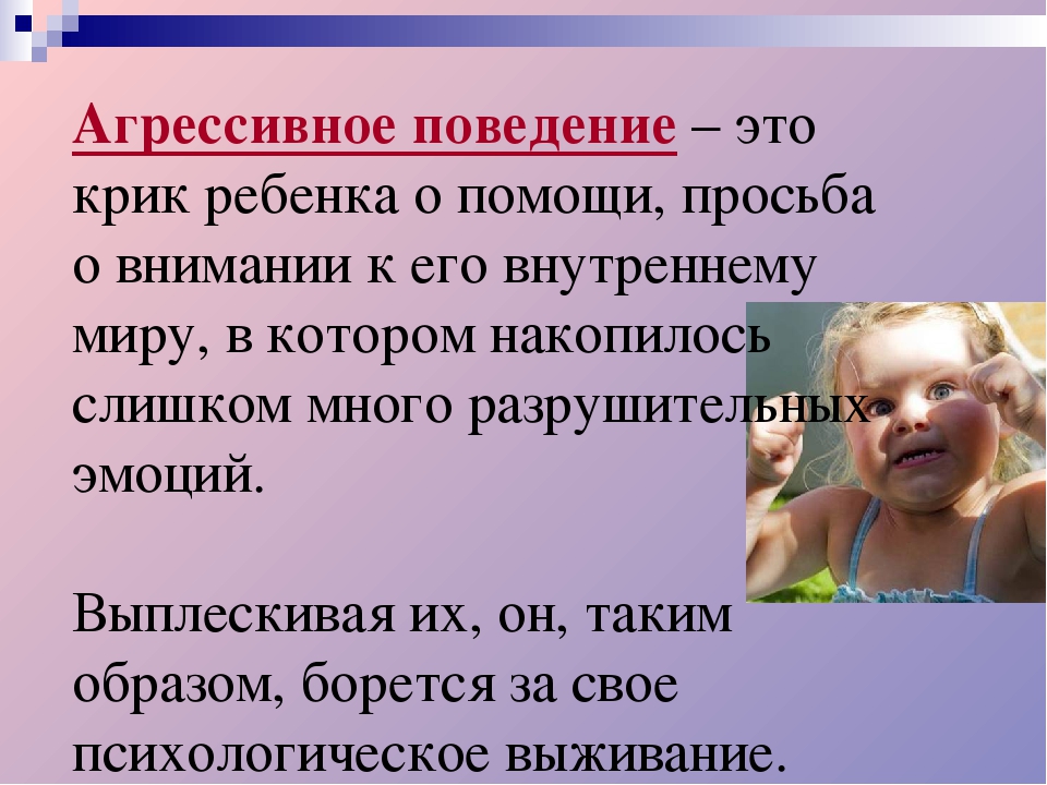 Презентация "Профилактика детской агрессивности у детей дошкольного возраста"
