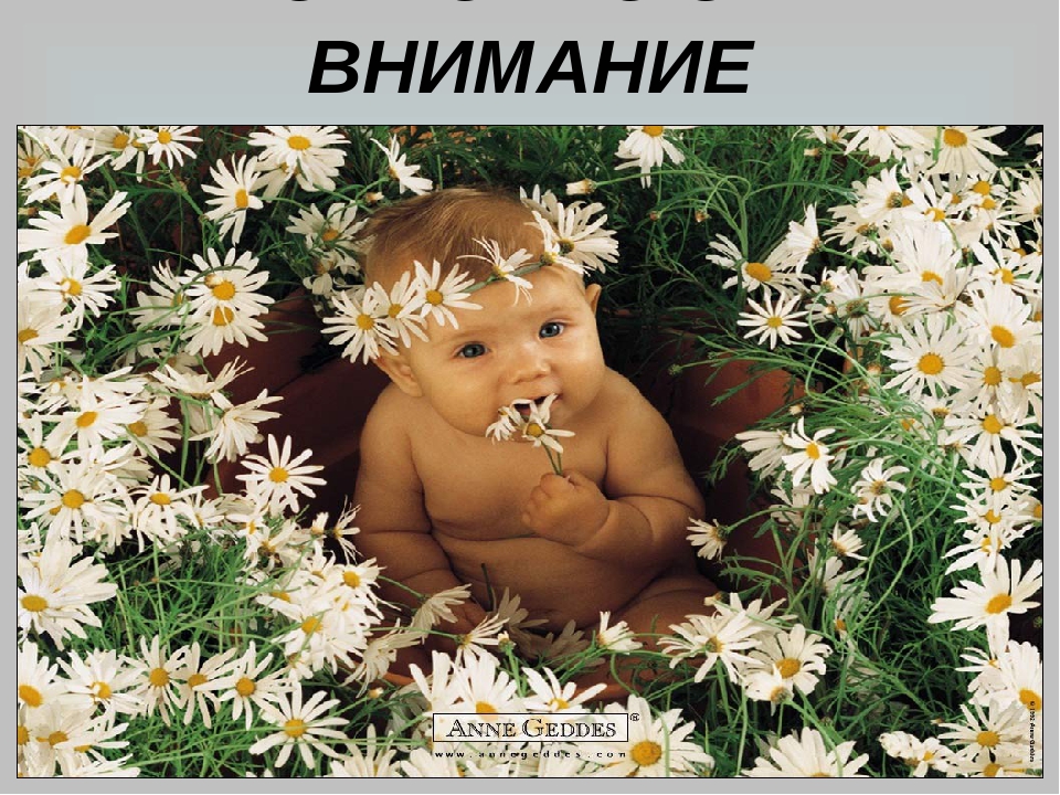 Презентация проекта "Мы играем"