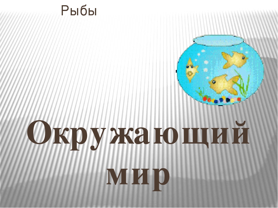 Презентация для занятия по экологическому воспитанию на тему "РЫБЫ"