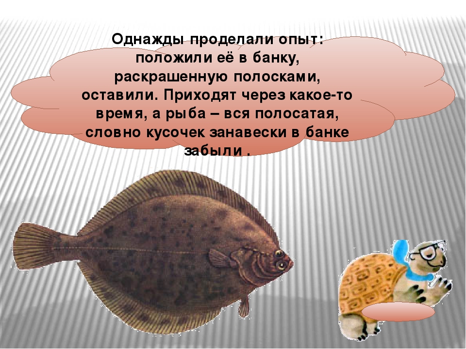 Презентация для занятия по экологическому воспитанию на тему "РЫБЫ"