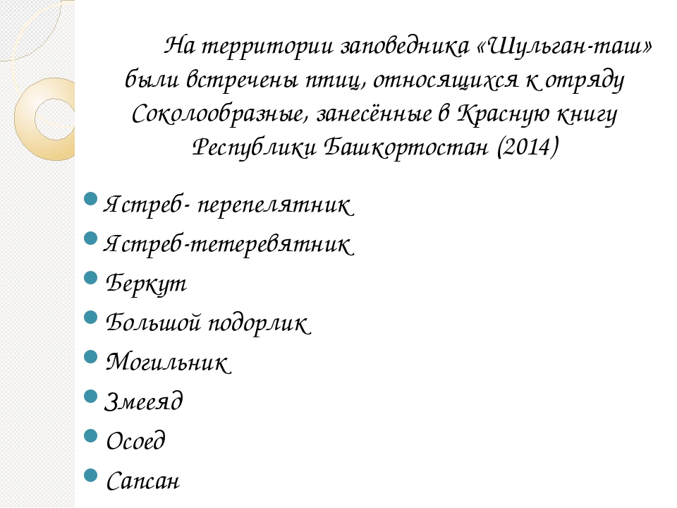 Гнездящиеся и перелетные птицы Башкортостана
