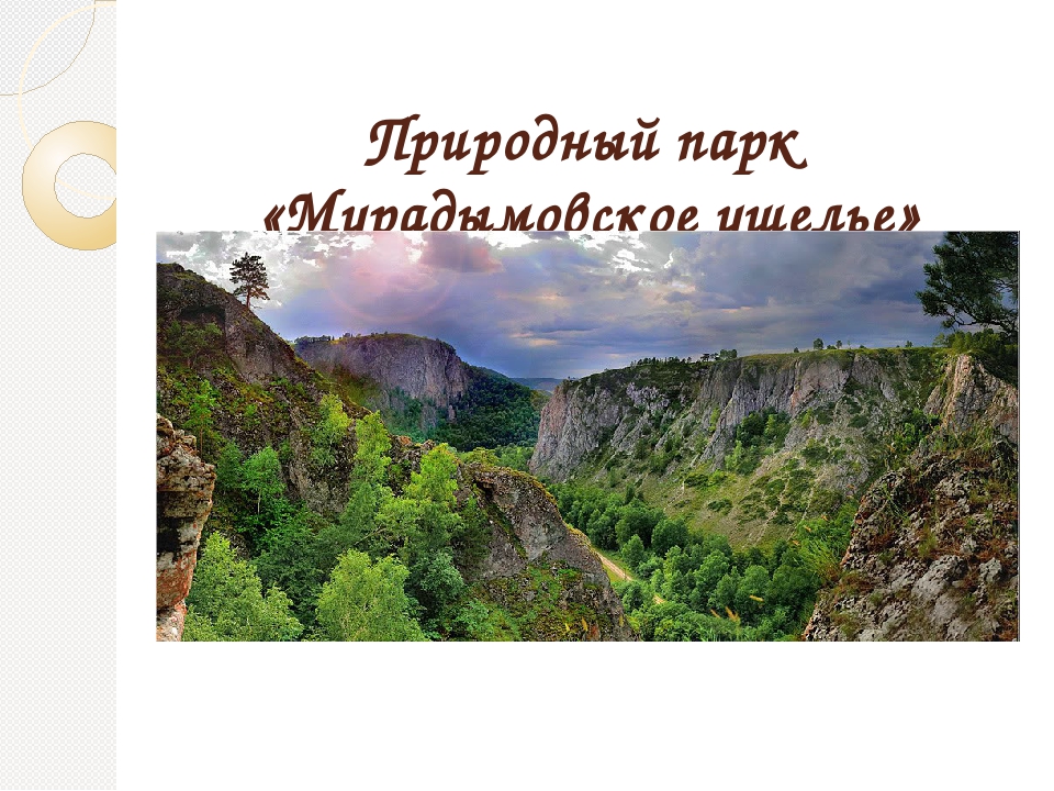 Гнездящиеся и перелетные птицы Башкортостана