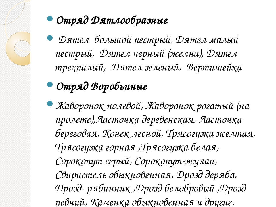 Гнездящиеся и перелетные птицы Башкортостана