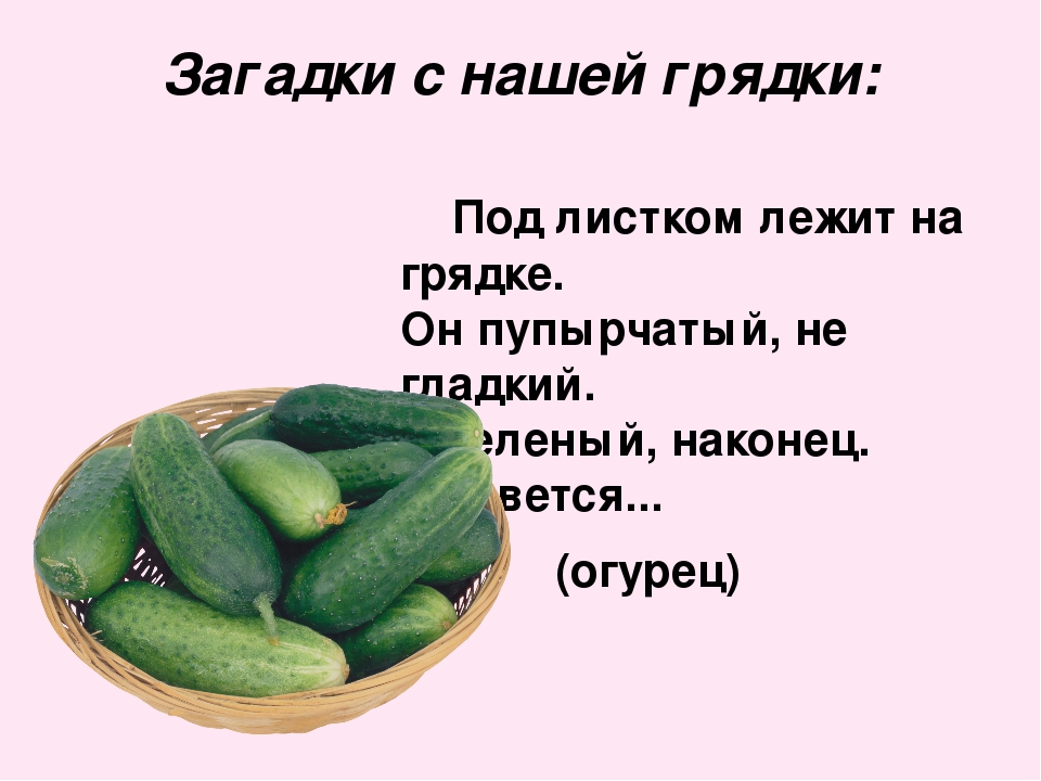 Презентация на тему"Собираем урожай"
