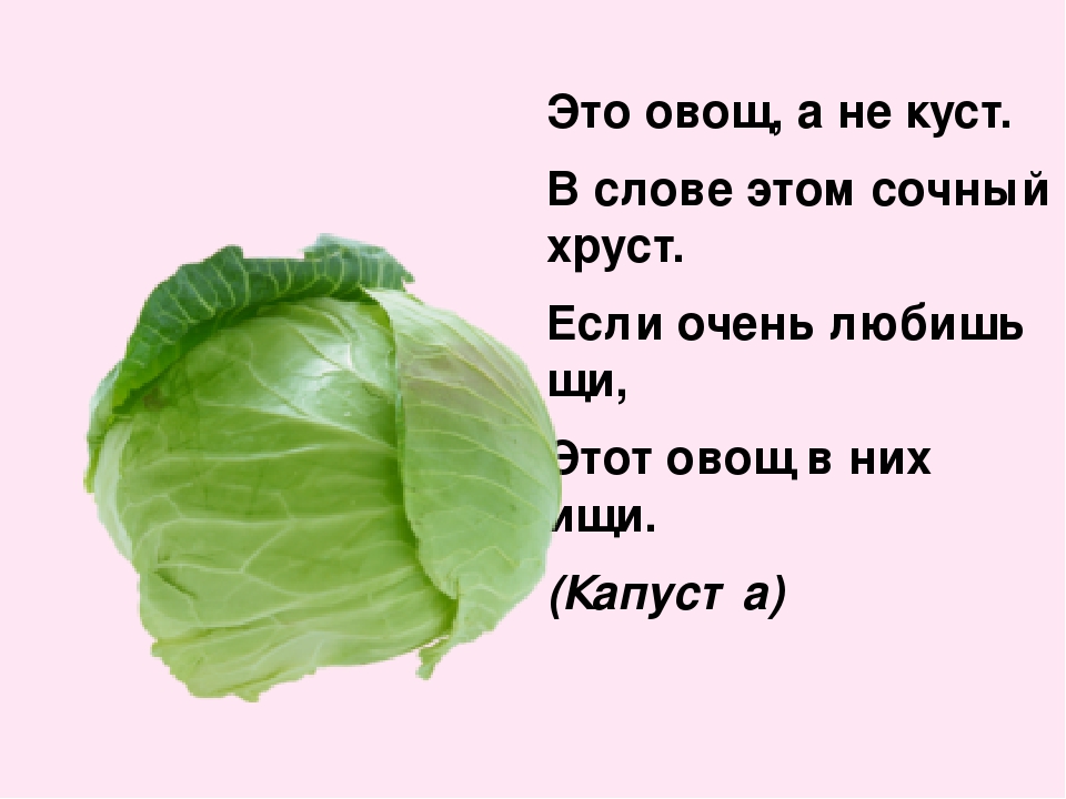 Презентация на тему"Собираем урожай"