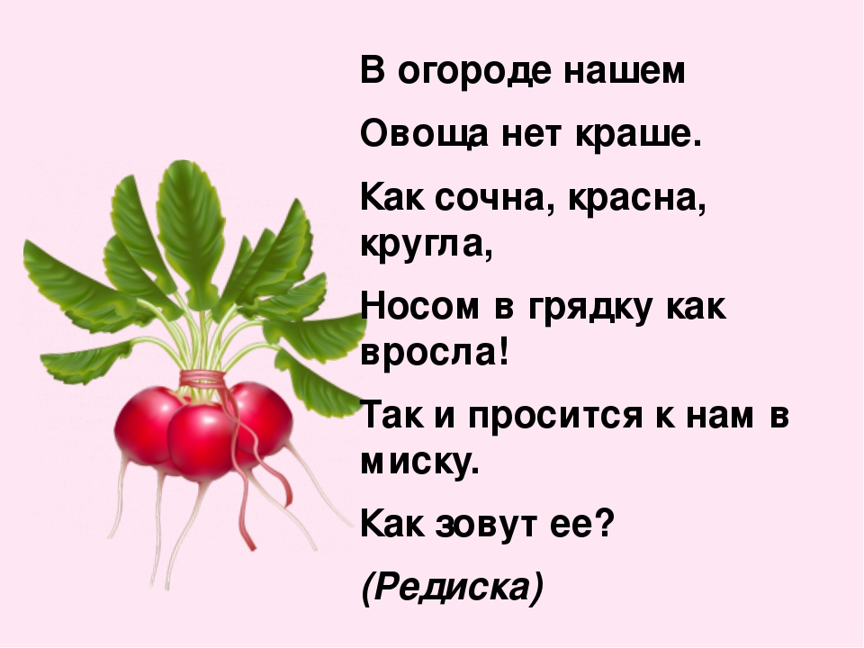 Презентация на тему"Собираем урожай"