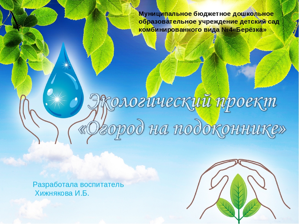 Экологический проект "Огород на подоконнике"