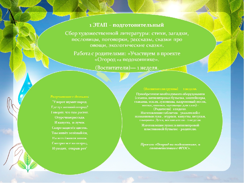 Экологический проект "Огород на подоконнике"