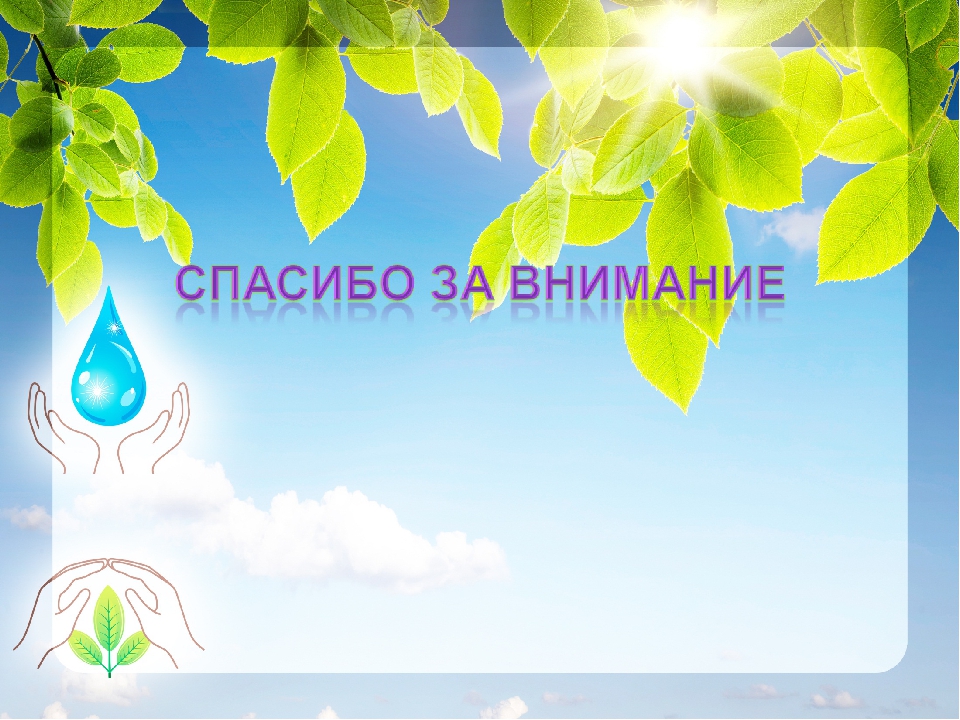 Экологический проект "Огород на подоконнике"
