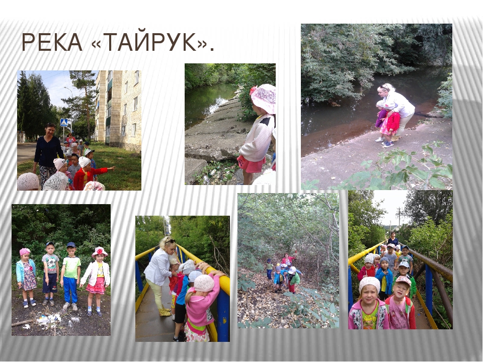 Презентация "Как мы провели лето в детском саду"