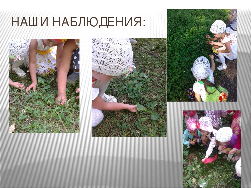 Презентация "Как мы провели лето в детском саду"