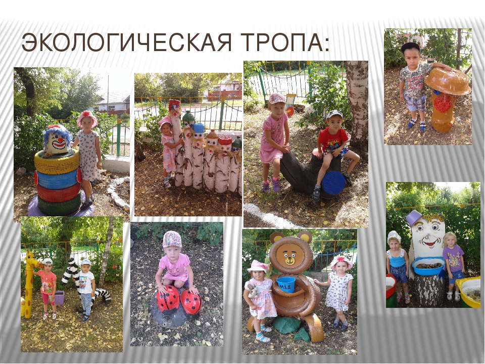 Презентация "Как мы провели лето в детском саду"