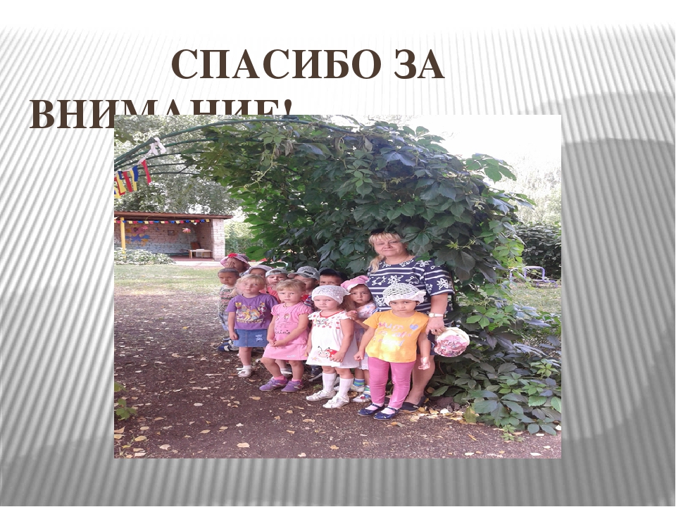 Презентация "Как мы провели лето в детском саду"